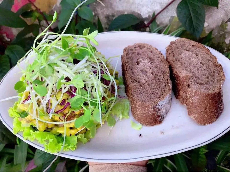 Avocado salad