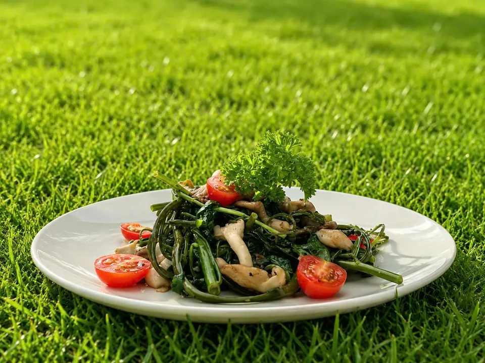 Morning glory with mushroom